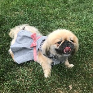 Meet your Posher, Whitney